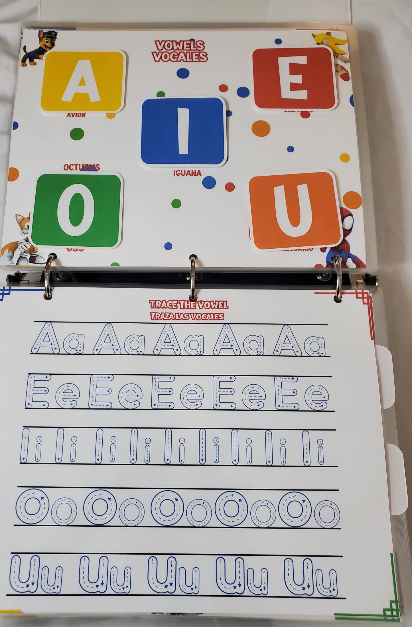 Carpeta Interactiva Básica