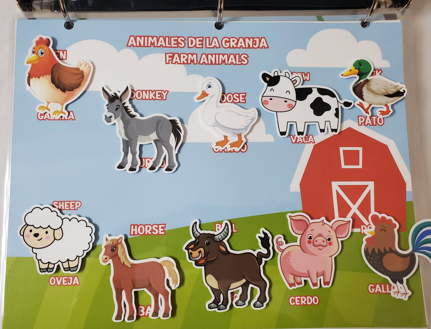 Carpeta Interactiva Básica