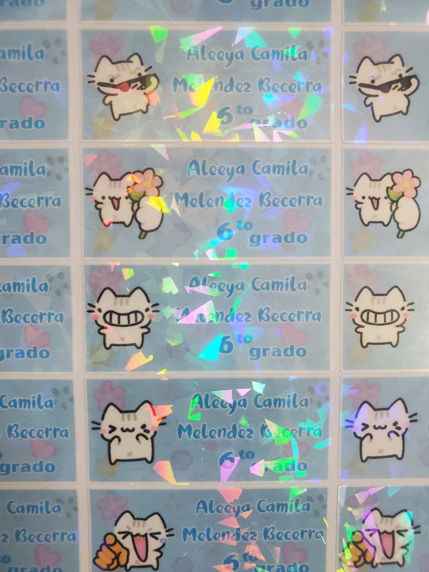 School Labels